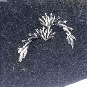 Beautiful and Elegant Crawler Earrings